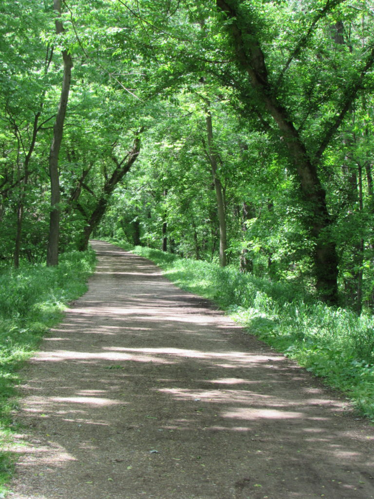 Path through woods on C&O Canal Towpath